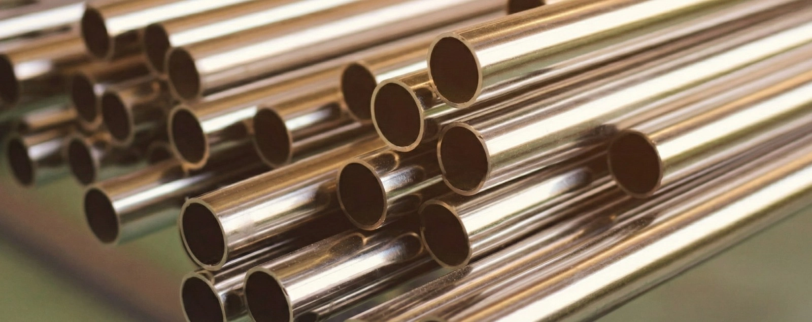 WhatsApp Image 2026-02-09 at 12.11